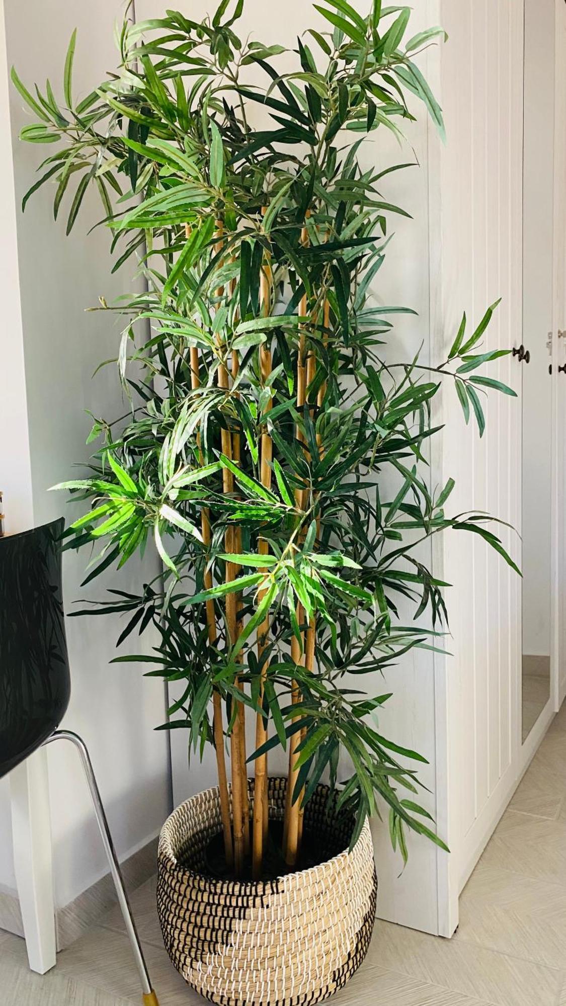 شقة Linari Bohemian Living Kávallos المظهر الخارجي الصورة